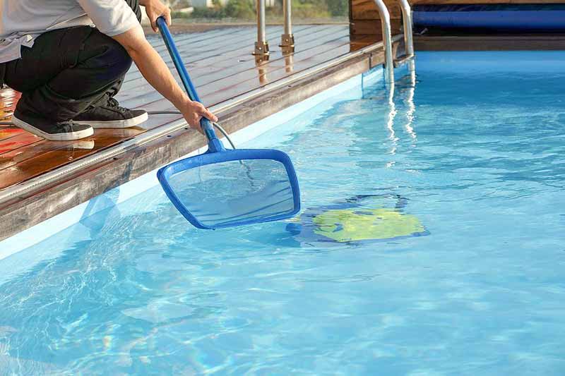 Person skimming debris from a clean swimming pool.