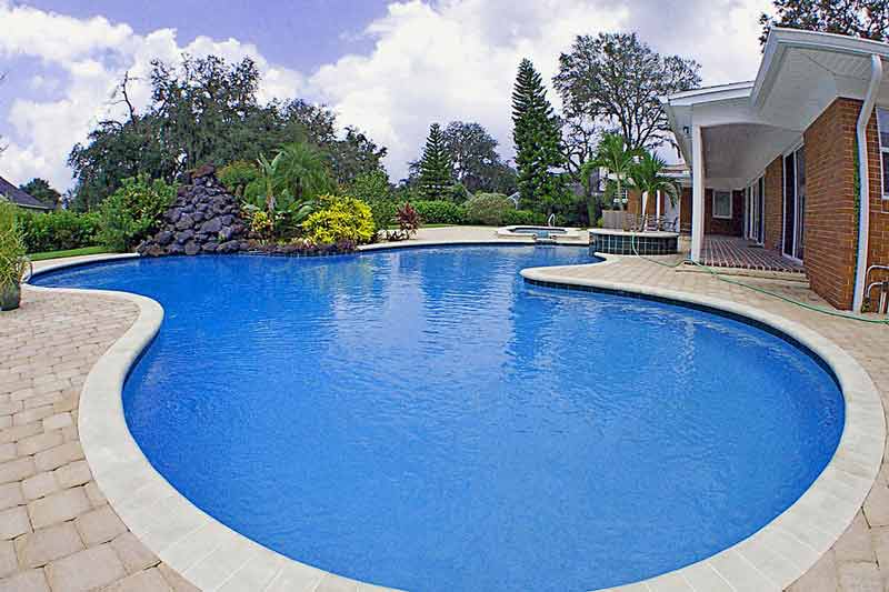 Large curving backyard swimming pool with landscaped surroundings