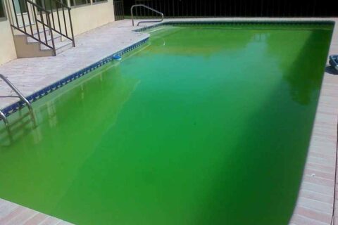 Pool with bright green algae‑filled water.