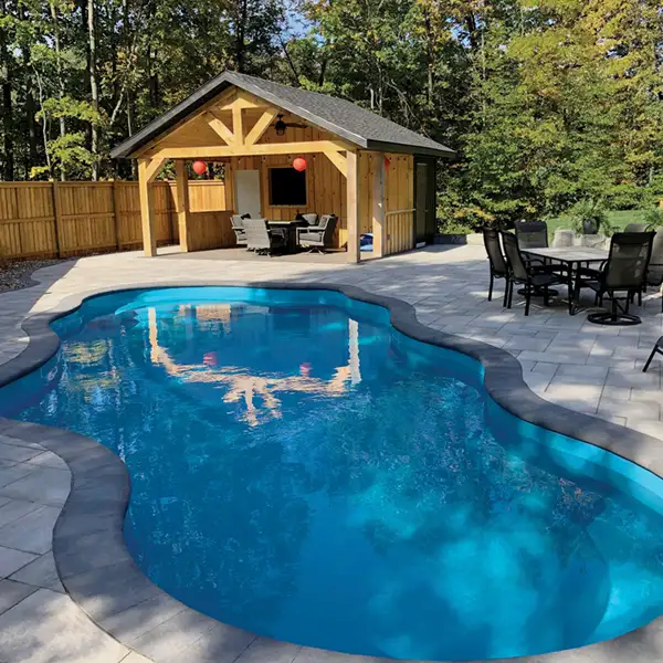 Dolphin Oka Aqua in-ground pool in residential backyard